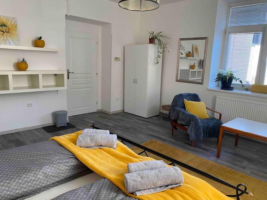 B12 - Bohdanecska 12 Apartman Pardubice Kültér fotó